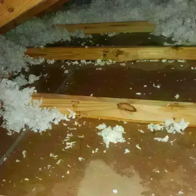 Attic Water Damage in Temple, NH